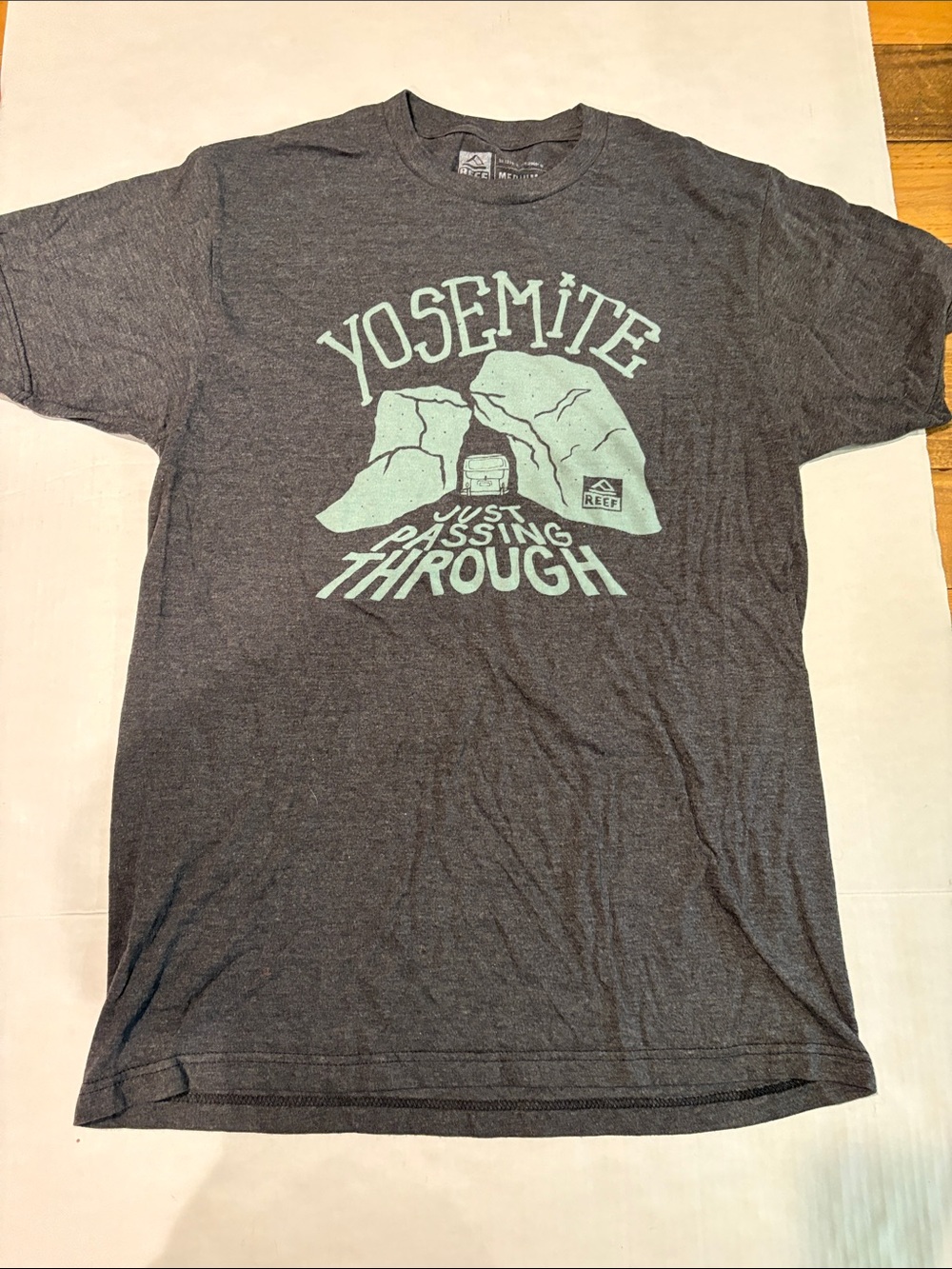 Reef Yosemite Graphic Tee - Dark Gray & Mint
